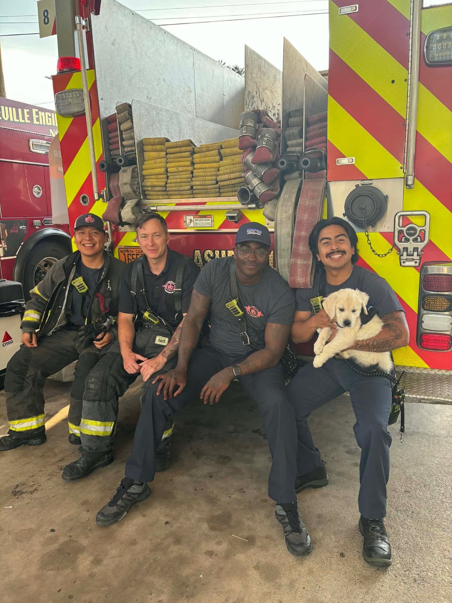 First responders meeting a Silver Charm puppy