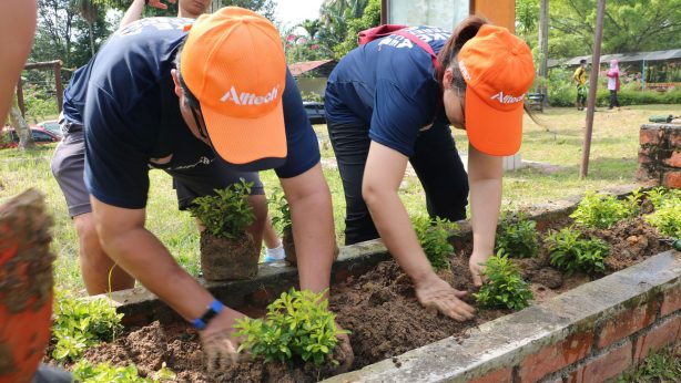 alltech employees planting trees